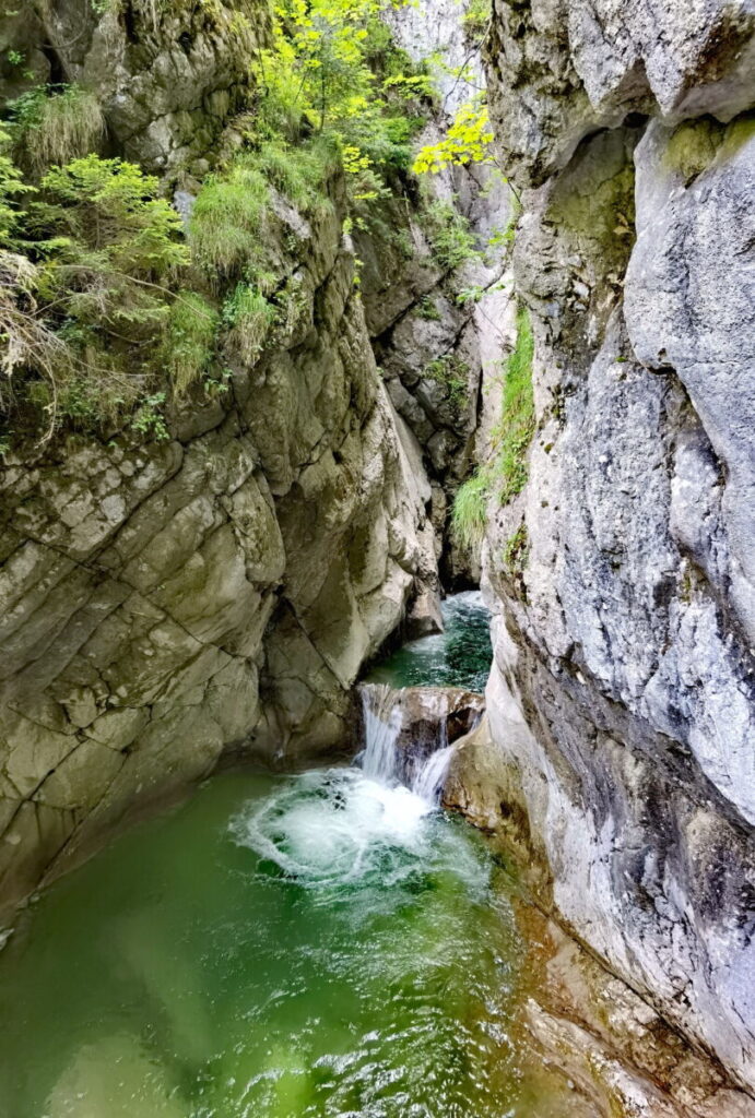 Tatzelwurm Wasserfälle Deutschland